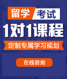 日逼小视频大鸡巴欧美人留学考试一对一精品课